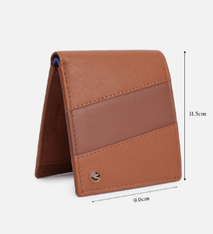 Men Colourblocked Leather Two Fold Wallet